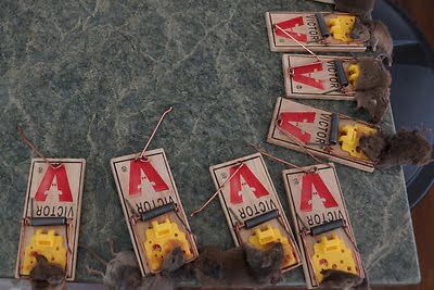 mouse trapping